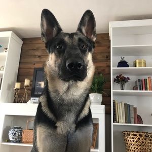 Meet your Posher, Emily